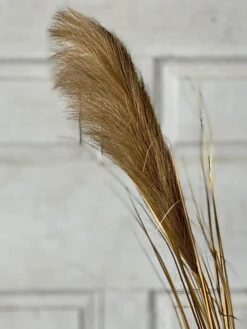 Golden Grain Stem, 42" (Pick Up Only) -Christmas Decoration XSQ87503