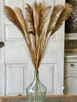 Golden Grain Stem, 42" (Pick Up Only) -Christmas Decoration XSQ87504