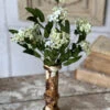 Bimini Blooms Stem, Cream, 20" -Christmas Decoration YL1555 1024x1024 c60328d5 6459 4a52 baa8 7905ca01fc85