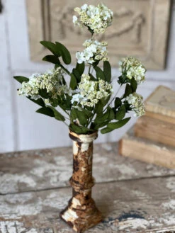 Bimini Blooms Stem, Cream, 20"