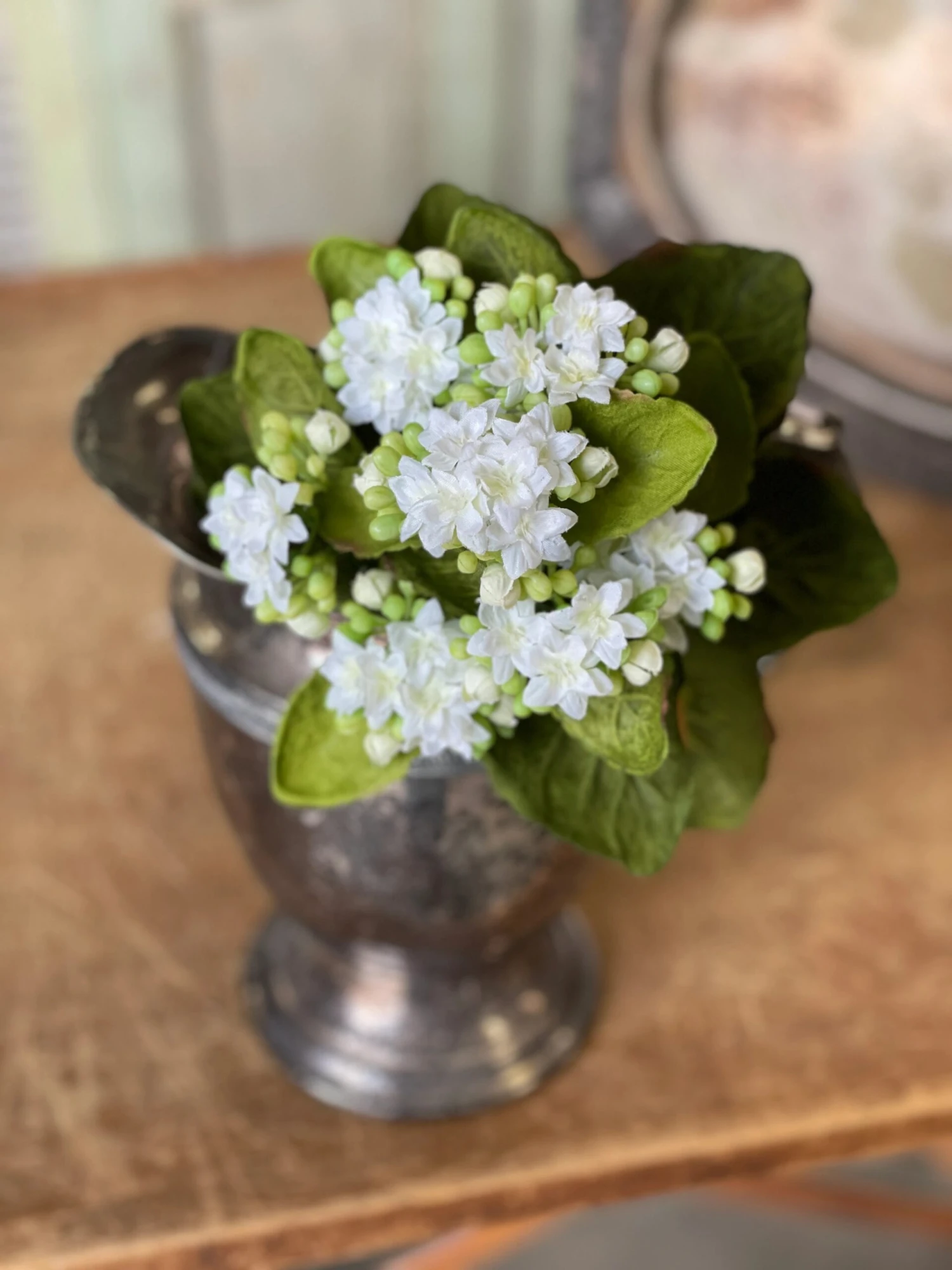 Kalanchoe Bush, White, 9" 3 Kalanchoe Bush, White, 9"