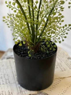 Potted Maiden Tress Fern, 33” -Christmas Decoration image 01fd0e8a 4eef 471f aa40 c60d78aa98b6