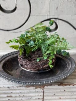 Windward Hills Nest, 8”