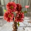 Poppy Bundle, Ginger, 13" -Christmas Decoration image 5a54d28a bbe1 448c a304 095252f021fb