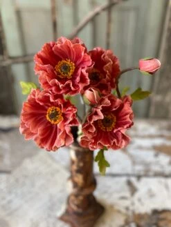 Poppy Bundle, Ginger, 13"