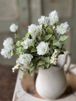 Summer Psalm Bush, Cream, 11”