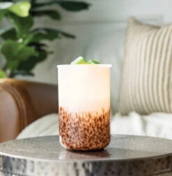 Tiger Shell Glass Illumination Fragrance Wax Melt Warmer By Candle Warmers Etc -Christmas Decoration image 65bb3fd4 ca57 4290 8fd5 240e86d6f083