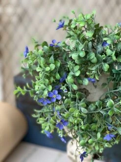 Heart’s Ease Candle Ring, Violet, 10” -Christmas Decoration image 88aaf709 49a8 44f3 bf58 a373b4c776aa