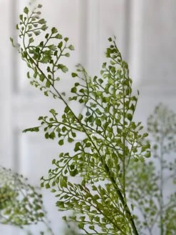 Potted Maiden Tress Fern, 33” -Christmas Decoration image a691c250 ee0f 4435 856f 2f5274998a82