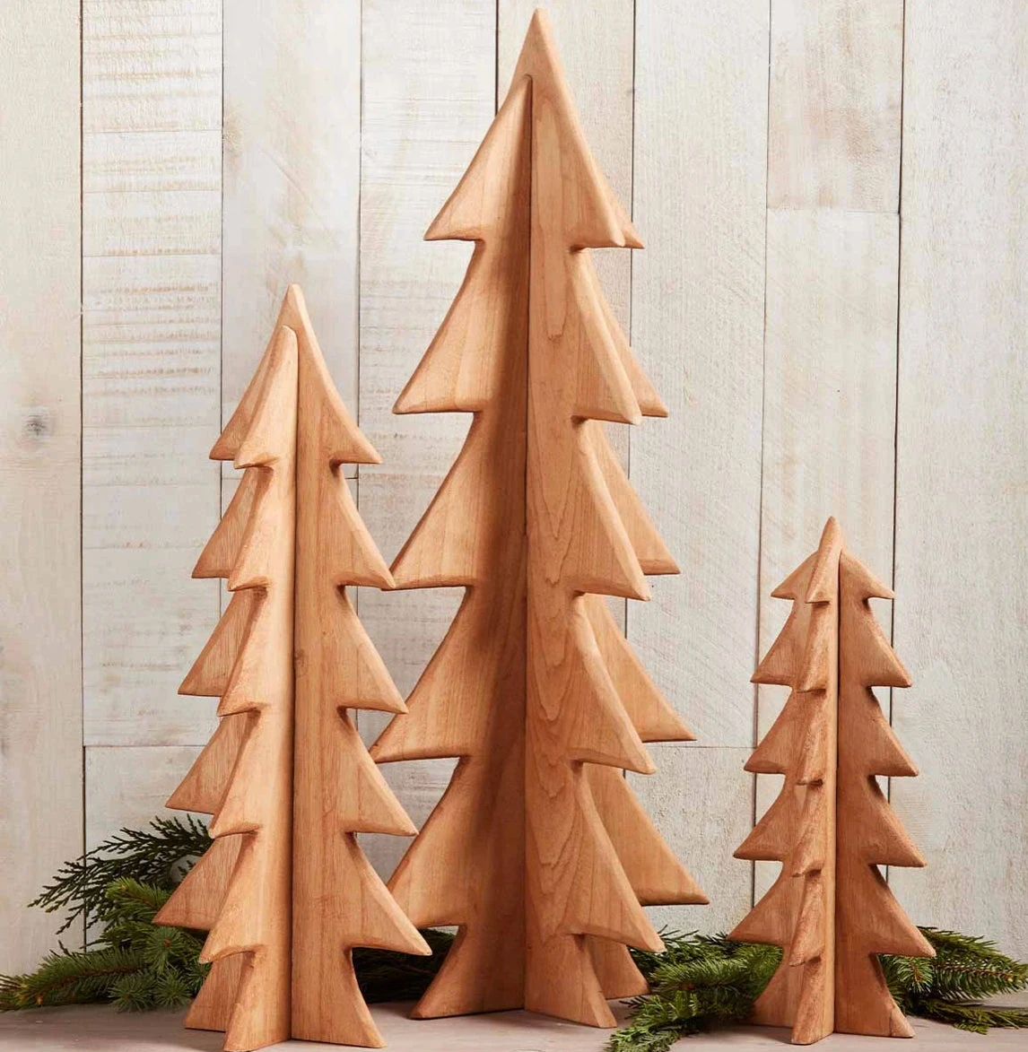 Paulownia Tree Sitter, 2 Size Options 3 Paulownia Tree Sitter, 2 Size Options