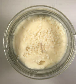 Swan Creek Timeless Collection Vanilla Pound Cake Candle -Christmas Decoration vanilla pound 2 07639.1568229237